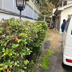 無料！薪、マキ、焚き木