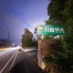 【未経験者歓迎】爽快感のある汗をかきませんか？緑でまちを彩る仕事です。55年目を迎える鹿児島の植木屋【川崎植木】 鹿児島県鹿児島市(鹿児島)造園スタッフ/庭師の画像