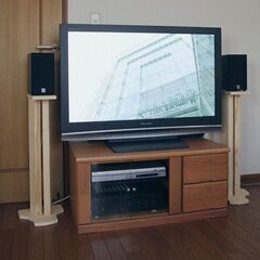 プラズマテレビ　VIERA　42型　08年製　液晶テレビ　REG...