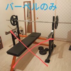 バーベルのみ　筋トレ　ホームジム