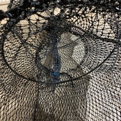 魚採り網　　釣り　罠　仕掛けの画像