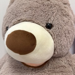 クマのぬいぐるみの画像