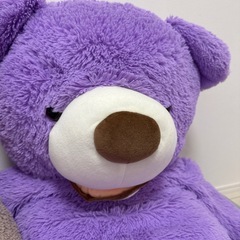 クマのぬいぐるみの画像