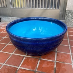 メダカ、睡蓮など用大鉢