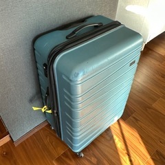 キャリーバッグの画像