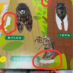 お譲り済み【中古】えほん5冊の画像