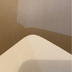 テーブルの画像