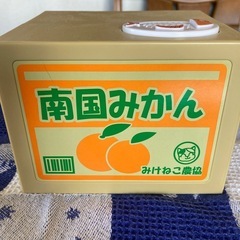 猫が盗む貯金箱