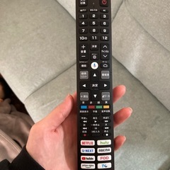 テレビ55型2024年11月購入液晶割れねさけ゛の画像