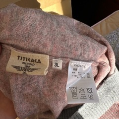 チチカカ　3Lサイズの画像