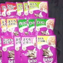 12/18限定 18:00受渡し「猫フードパウチ55個セット」（バラ売りなし）の画像