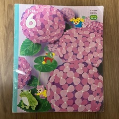 こどもちゃれんじすてっぷ　4.5歳用　知育絵本　しまじろう　20...