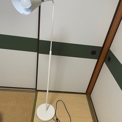 【決まりました!】アイリスオーヤマ　 フロアランプ E26 PF...
