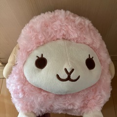 Dreamy Woolyの画像