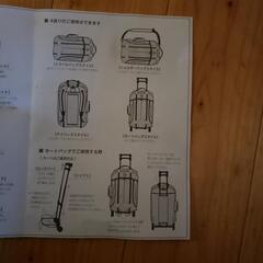 Sports Travel Bagの画像