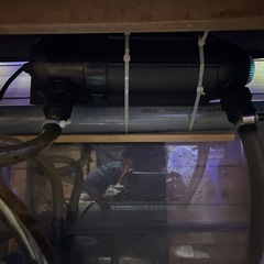 海水魚　水槽90センチの画像
