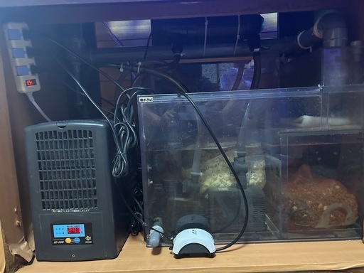 海水魚　水槽90センチ