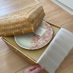 お皿5枚入り