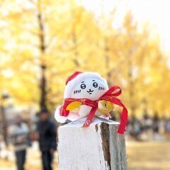 写真友　 − 愛知県