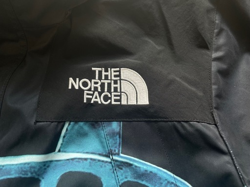 Supreme× North Face マウンテンパーカー 自由の女神