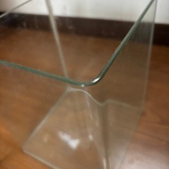 ガラスの花瓶？水槽？