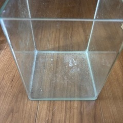 ガラスの花瓶？水槽？の画像
