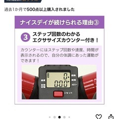 健康ステッパー　サイドステッパー　ナイスデイ　歩数計付きステッパーの画像