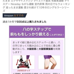 健康ステッパー　サイドステッパー　ナイスデイ　歩数計付きステッパーの画像