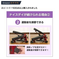 健康ステッパー　サイドステッパー　ナイスデイ　歩数計付きステッパーの画像