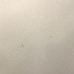 【直接引取歓迎！】冷蔵庫 日立 R-XG5600G(XW) 2017年製 555L HITACHI 6ドア 観音開き 冷凍庫（埼玉県川越市）
