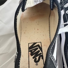 vansスニーカーの画像