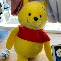 ポーさん　足が壊れている