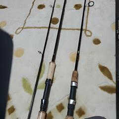 アユ竿とバスロットかな？の画像