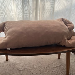 犬　ぬいぐるみ　抱き枕の画像