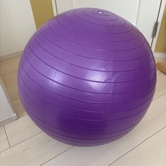 健康グッズ　バランスボール　ダンベルの画像