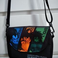 ショルダーバッグの画像