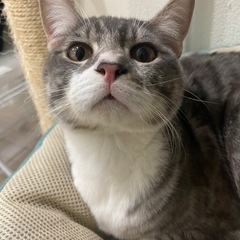 雑工　多能工さん大募集‼️の画像