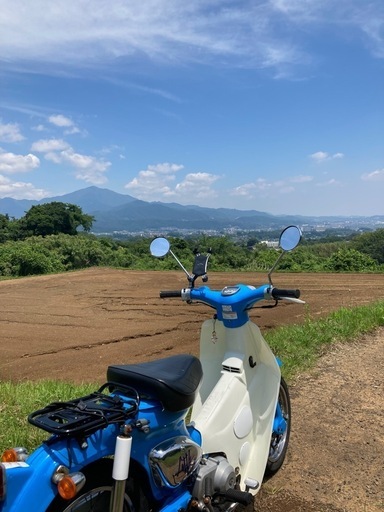 リトルカブ　　