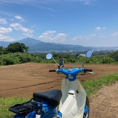 リトルカブ　　の画像