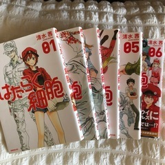 はたらく細胞　6巻　ブックオフよりお得！