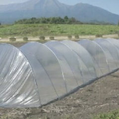 畑（農業用品）に使う用具お譲りください🙇‍♀️
