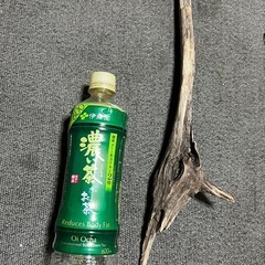 天然採取物 流木 お手ごろサイズ 水槽にどうぞ①