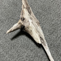 天然採取物 流木 お手ごろサイズ 水槽にどうぞ①の画像