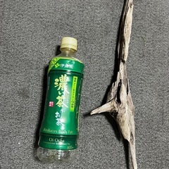 天然採取物 流木 お手ごろサイズ 水槽にどうぞ①の画像