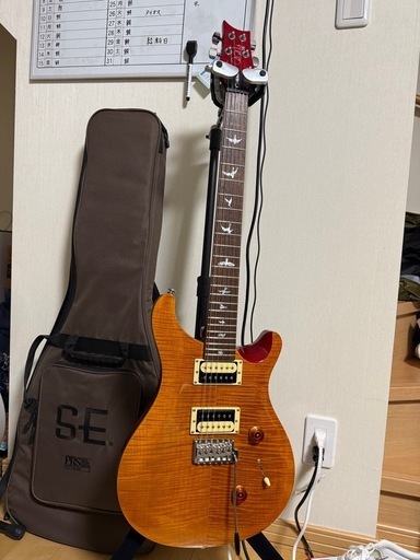 弦楽器、ギター PRS SE custom24\n