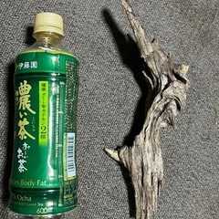 天然採取物 流木 お手ごろサイズ 水槽にどうぞ②