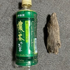 天然採取物 流木 お手ごろサイズ 水槽にどうぞ③