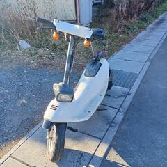 レア車両　ホンダズーク‼️現状不動、圧縮、プラグ点火ありの画像