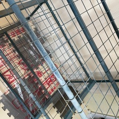 ビニール温室4段のフレームのみ  フラワースタンド  引取先が決まりましたm(_ _)m の画像