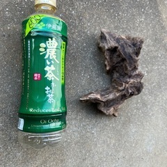 天然採取物 流木 お手ごろサイズ 水槽にどうぞ④